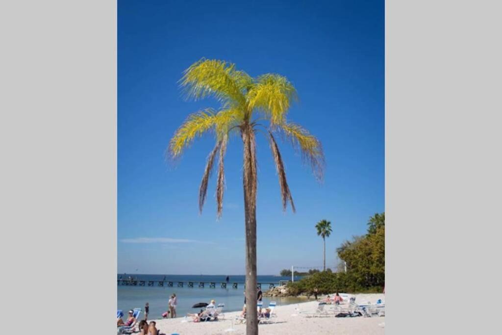 רסקין Sea Breeze, Studio 510, Beach Steps Away!+Pool+Wifi מראה חיצוני תמונה