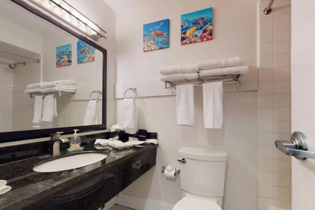 Little Harbor Resort #510 Tampa Bay Fl Beach, Hot Tub, Pools רסקין מראה חיצוני תמונה